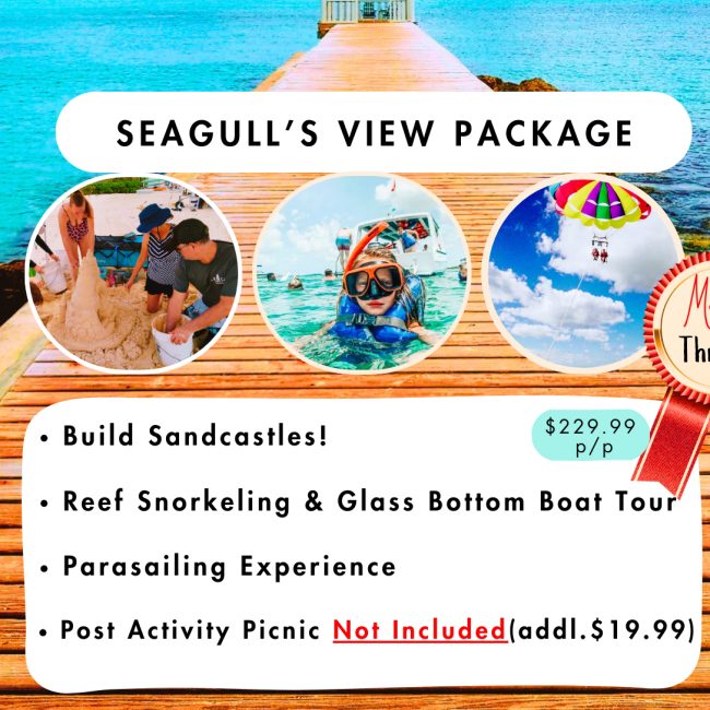 INCLUDES: Sandcastle Sculpting/Parasailing Experience/Glass Bottom Boat Tour/ Reef Snorkeling
